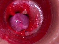 close-up pov creampie action