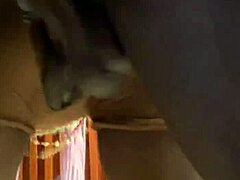 Horny Vera Delivers Epic Deep Throat Action On Vera Pussy Iman!