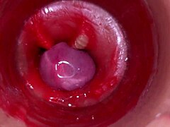 close-up pov creampie action