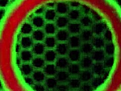 hey you gotta see this sexy pawg kimber lee shaking her big tits and ass in solo play