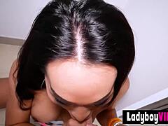 Curvy Long Legged Asian Ladyboy POV BJ