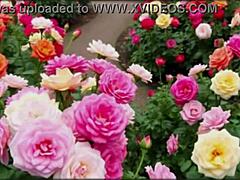 in this bangla sex story, a cute wife shares romantic fucking with her friend in part 2