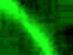 meet rosalia v argentina's dirtiest puta ready for your cock