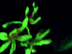 Step mom sneaks out on date night with step son for tight pussy cowgirl ride on his cock