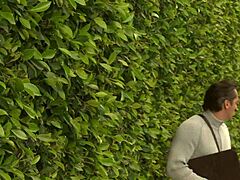 whoa check out this busty brunette slut ripping clothes to slam her dripping pussy on manuels huge cock in the kitchen