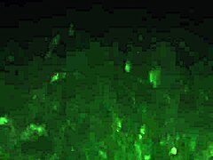 meeting cute jungle whore friend for wild outdoor ass play