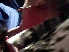 quick brazilian shemale oral action right in the car 🚗💋