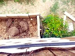 curious fence banging caught on hidden cam