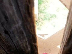 curious fence banging caught on hidden cam