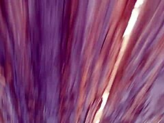 curious fence banging caught on hidden cam