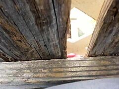 curious fence banging caught on hidden cam