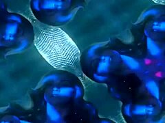 Madonna Delivers Forbidden Love in Captivating Music Video