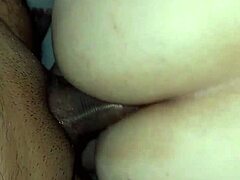 Amateur Mexican Shemale Craves Anal Play