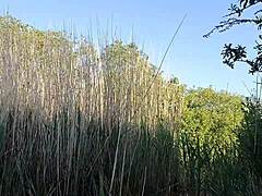 Public Slave's Humiliating Naked Striptease Walk in Outdoors