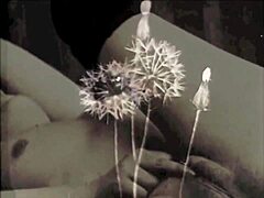 Vintage Hairy Pussy Bent Over For Doggy Beast Action!