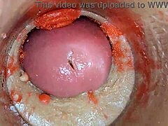Camera inside oiled tight pussy films huge cock creampie close-up asmr