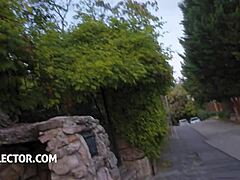 three hot asses alexa flexy zlata shine kat squirt ready for your cock pov