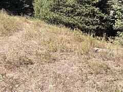 i'm pissing publicly in nature car pov compilation free