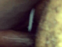 sexy ebony stepmom with big tits ass takes tattooed stud doggystyle squirting hard