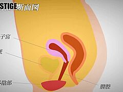 big tits asian gets fucked hard creampie full version 😍🔥