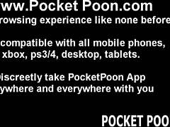 Do You Crave My Petite Pigtails in Sheer Pantyhose?