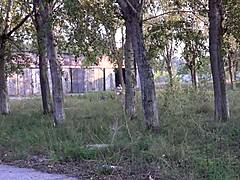 Voyeur Watches Brunette's Hairy Ass Anal Bottle Masturbation Outdoors During Phone Sex Public Orgasm