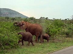 Big Tits Ebony Babe Fingers Big Clit POV Close-Up Till Orgasm