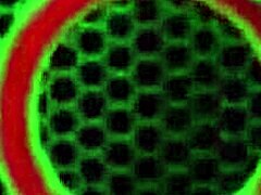 sara jay and jenna foxx lick big tits pussies lesbian fun