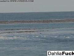 hey check out dahlia sky's hot teen blonde solo masturbation tits pussy ass compilation