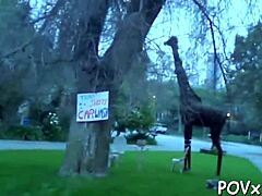 oh god this petite barely legal teen slut sucks my cock so horny like crazy!!