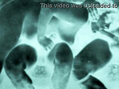 vintage erotic art captures timeless sensual allure