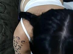 Drakaris Sgh's Argentinian Slut Chokes on Monster BBC