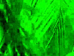 Petite Tanned Asian Model Putri Cinta Bares Her Big Boobs Closeup