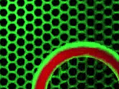 Sara Jay Teases Wet Pussy with Dildo in Ripped Pink Clothes