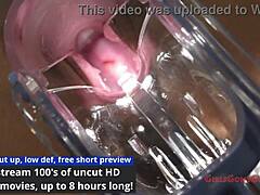 HUMAN GUINEA PIGS - MISS MARS