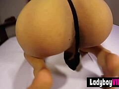 pulling this cute thai ladyboy's pigtails while she blows me rough