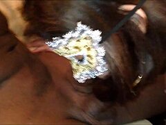 61 year old granny wife sucks and bangs three young bbc bulls for cuck hub