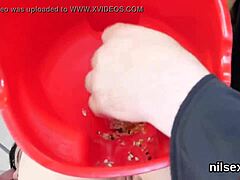 foxy cutie dragged into anal asylum for brutal assfucking and deepthroat pain