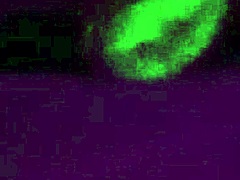 Old Hubby Watches Young Prostitute Gape Wife's Big Ass