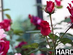 Beauty Chanel Camryn pounded by boyfriend's big dick in cowgirl riding and deepthroat bliss