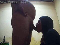 Slim Mexican Milf Marianna Deepthroats Cock For Facial Cumshot Mouthful