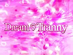 dude blows hot trans amanda fialho then bareback assfucks her deep