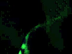 Huge Cock Deepthroat Turns into Rough Cheating Fuck Session