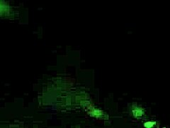 Huge Cock Deepthroat Turns into Rough Cheating Fuck Session