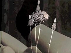 i crave that vintage interracial cock in my hairy pussy