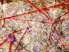 Tranny catches fan jerking off ready for hardcore anal domination 😏🍑