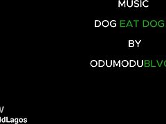 nigerian girls take on huge cocks in wild group frenzy