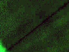 Busty Brunette Milf Sucks Big Black Cock