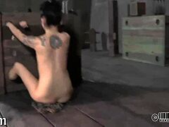 Pornstar Endures Intense Sadomasochism Torment