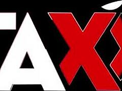 Busty brunettes hide wild foursome secrets?